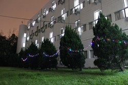 Participation of Fifth Christmas Decoration - Dorm Yi