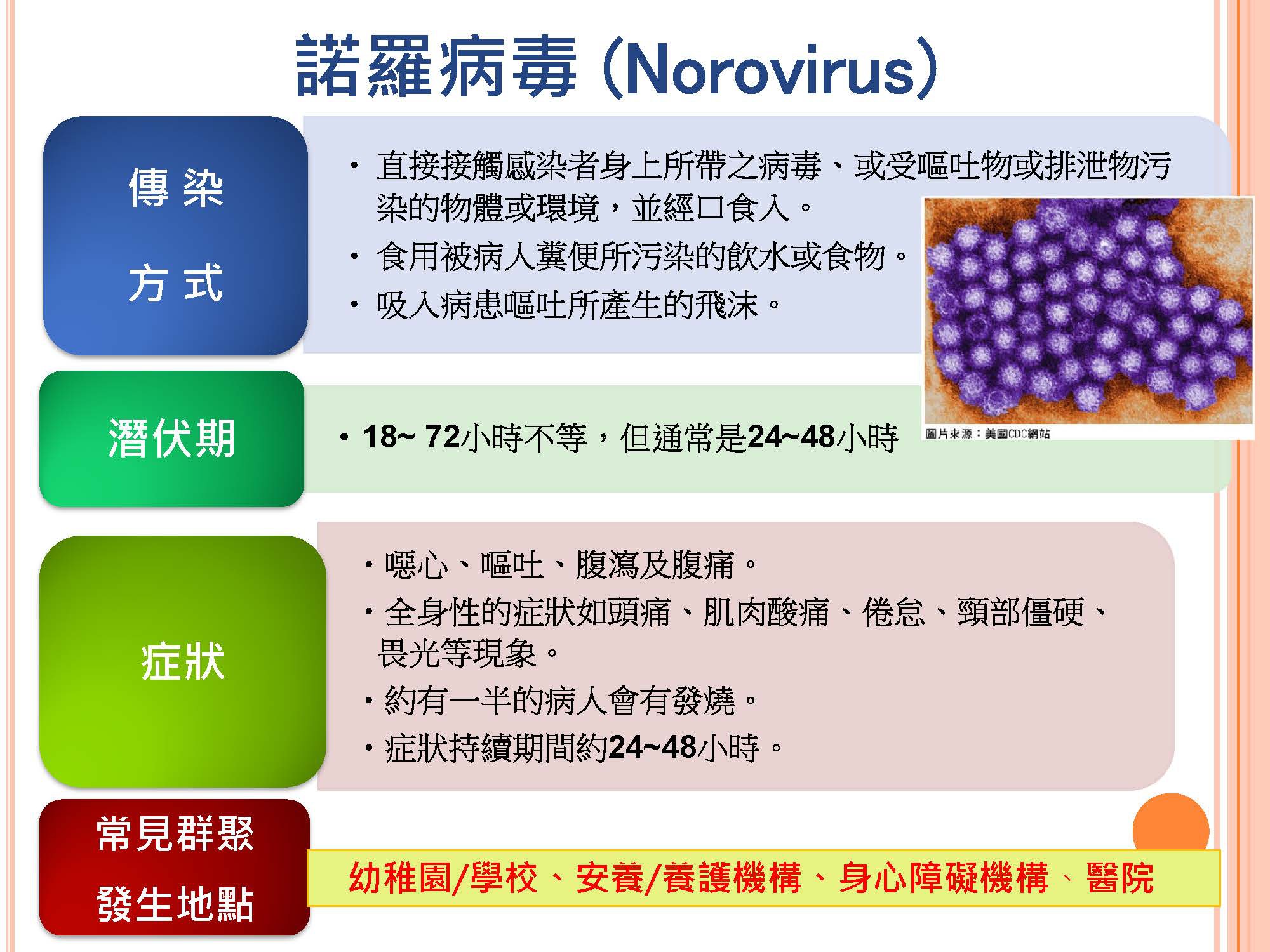 諾羅病毒1