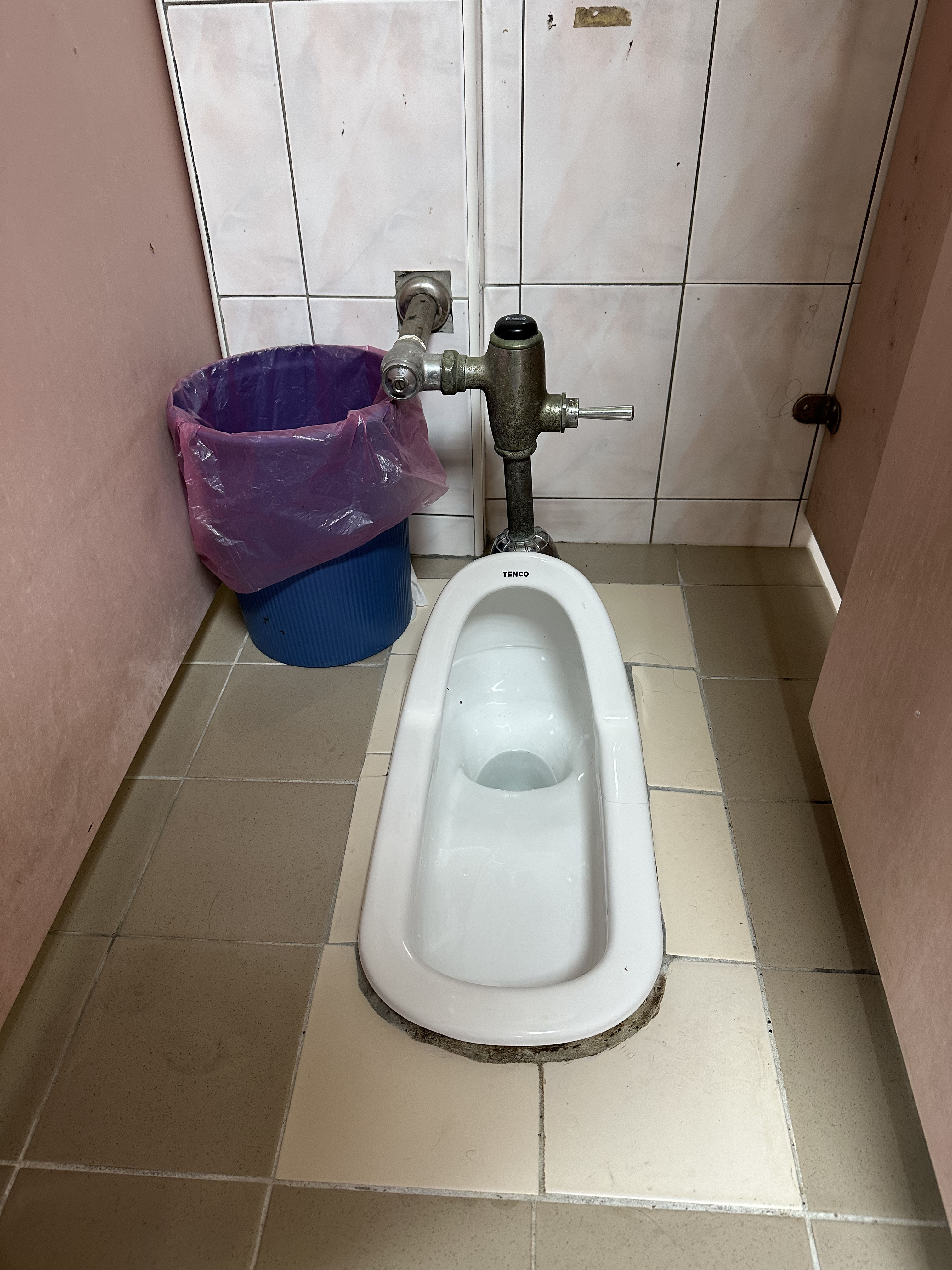 蹲式馬桶